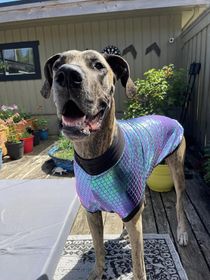 Mermaid Scale Knit