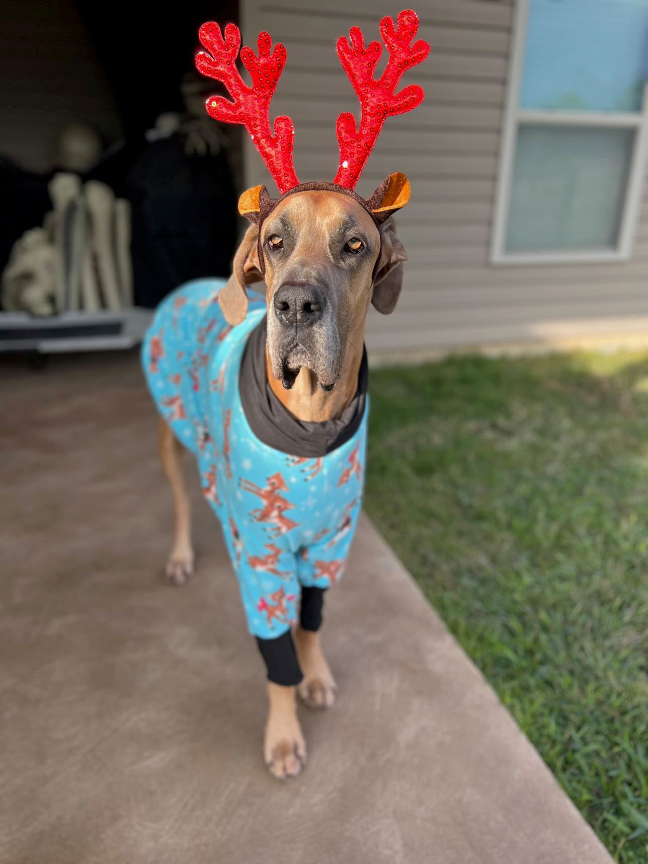 Reindeer & Friends Fleece