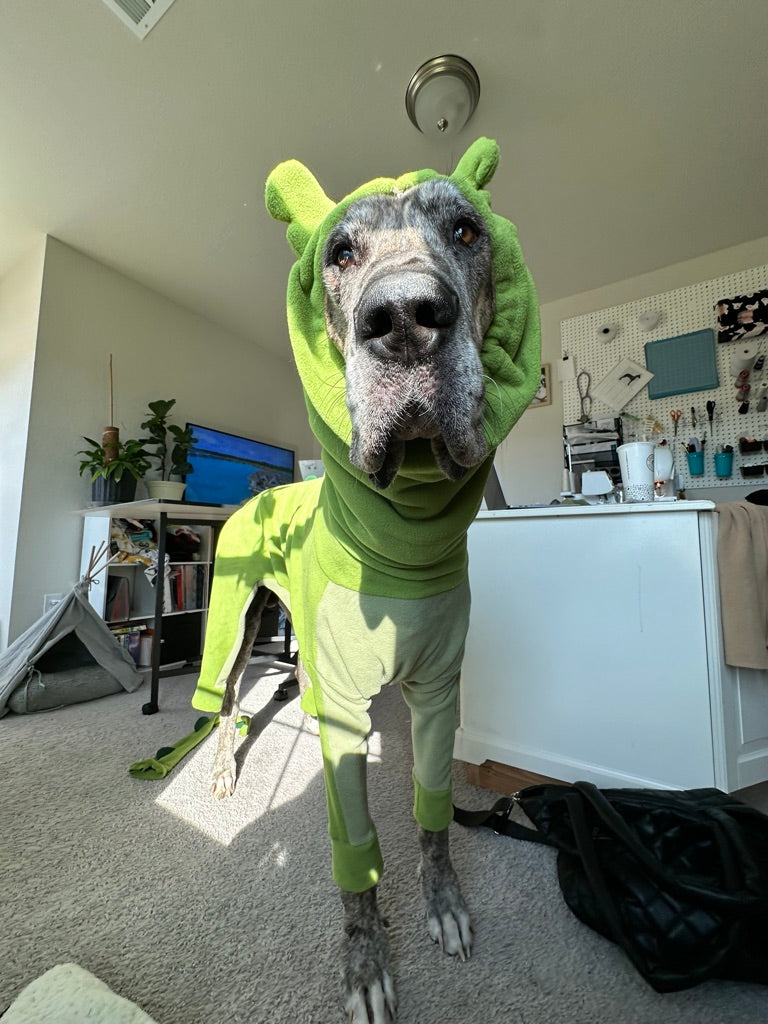 Tatonka's Pete The Dragon Costume