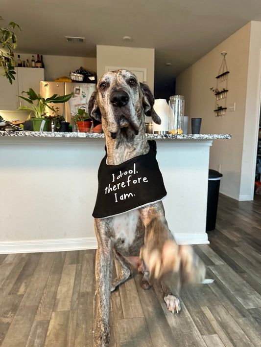 Customizable Drool Bib