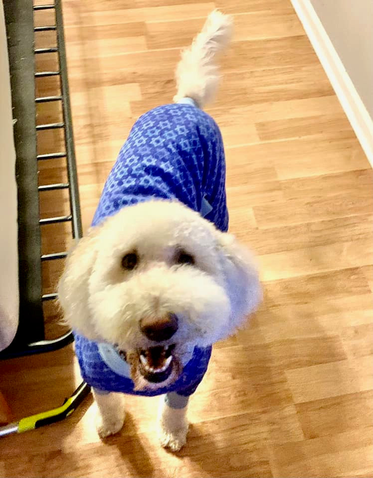 Star Of David Fleece