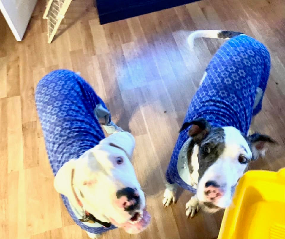 Star Of David Fleece