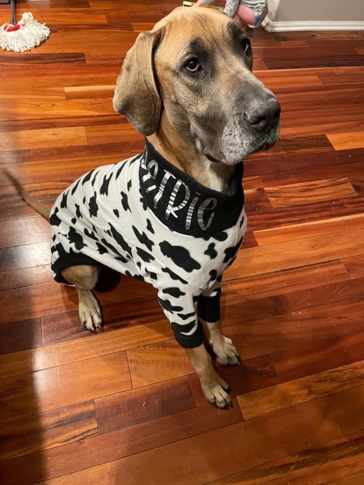 House Cow FLEECE