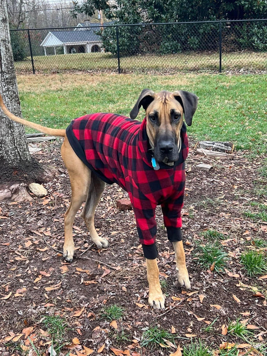 Buffalo Plaid