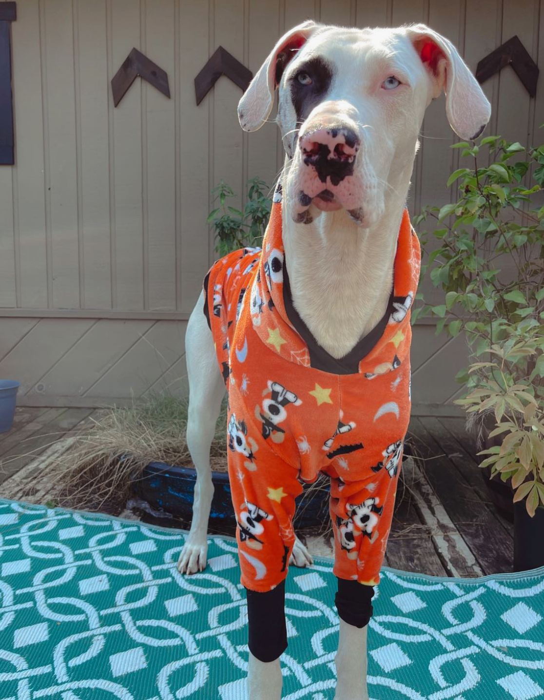 Orange Halloween Friends
