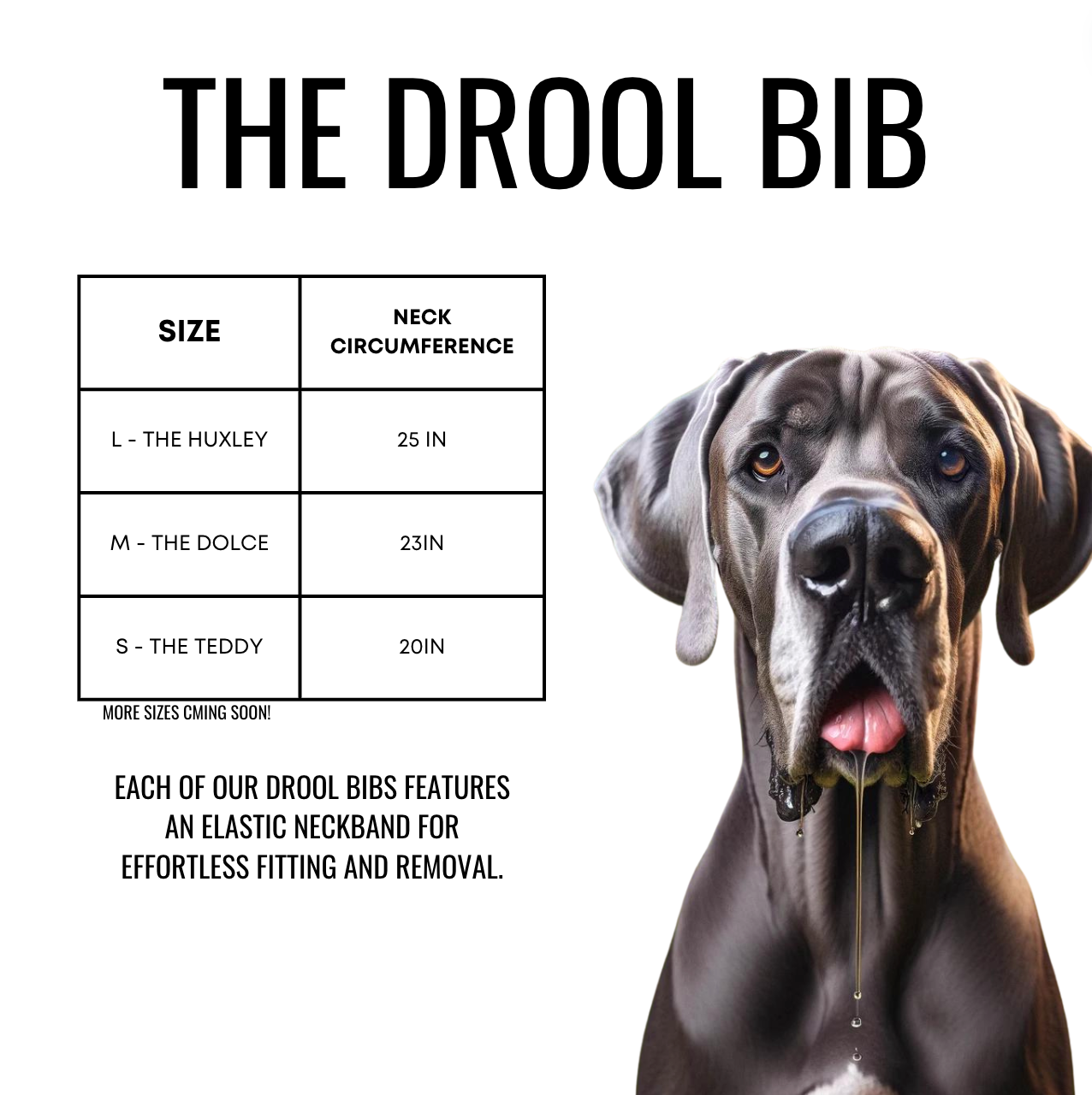 I Woof You Drool Bib