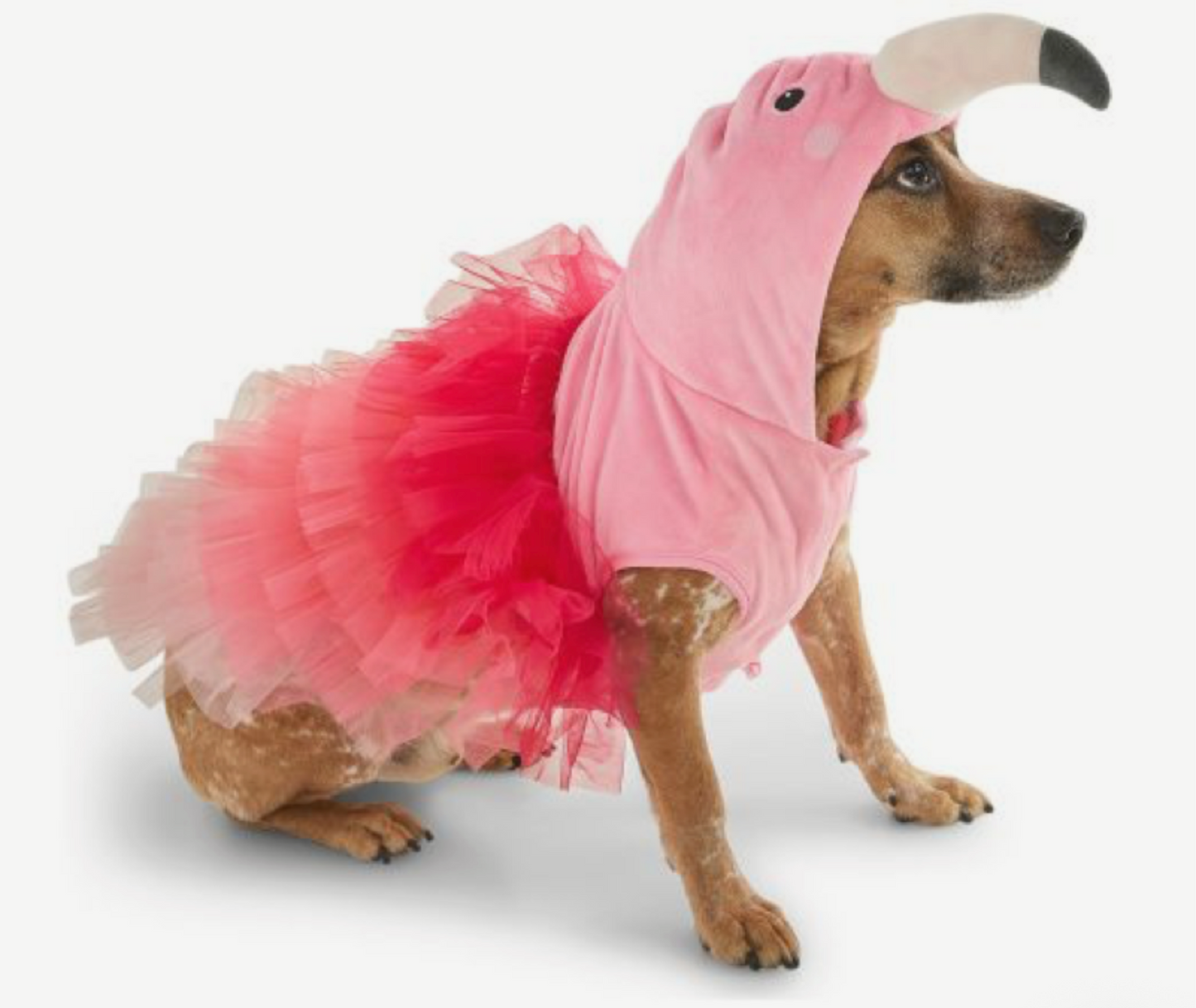 Jenna S's Custom Halloween Costume
