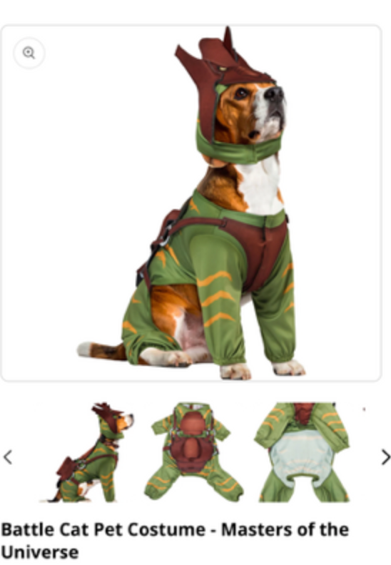 Shiro's Custom Halloween Costume