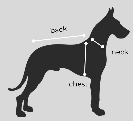 How to measure your dog for pajamas