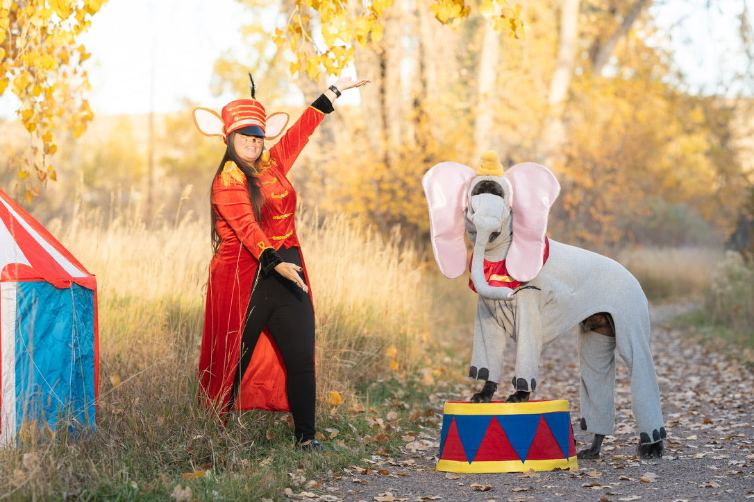 Custom Dumbo Costume for Tiffany A.