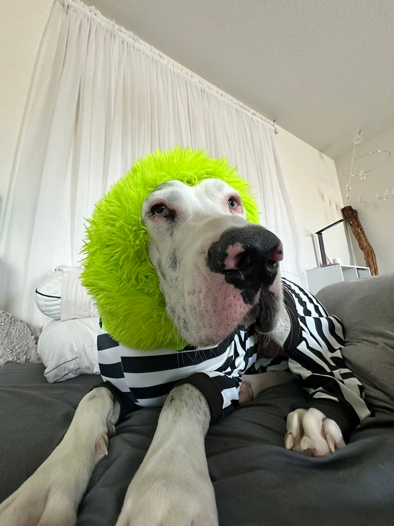 Beetlejuice Costume + Snood! 💚🖤