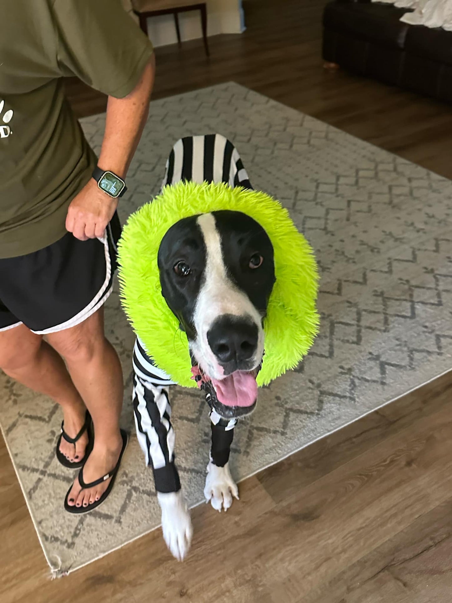 Beetlejuice Costume + Snood! 💚🖤