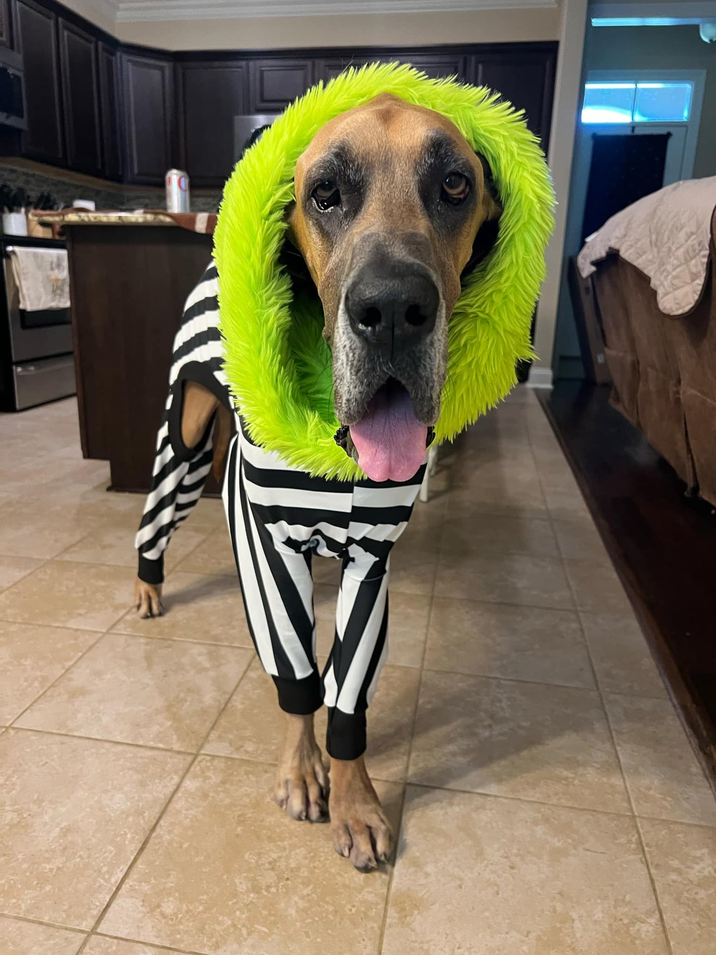 Beetlejuice Costume + Snood! 💚🖤