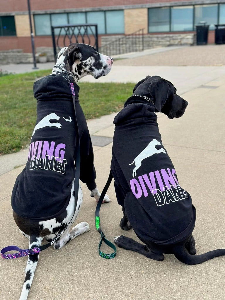 Custom Dog Apparel