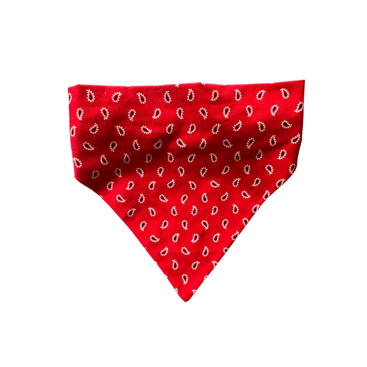 Classic Red Paisley Bandana