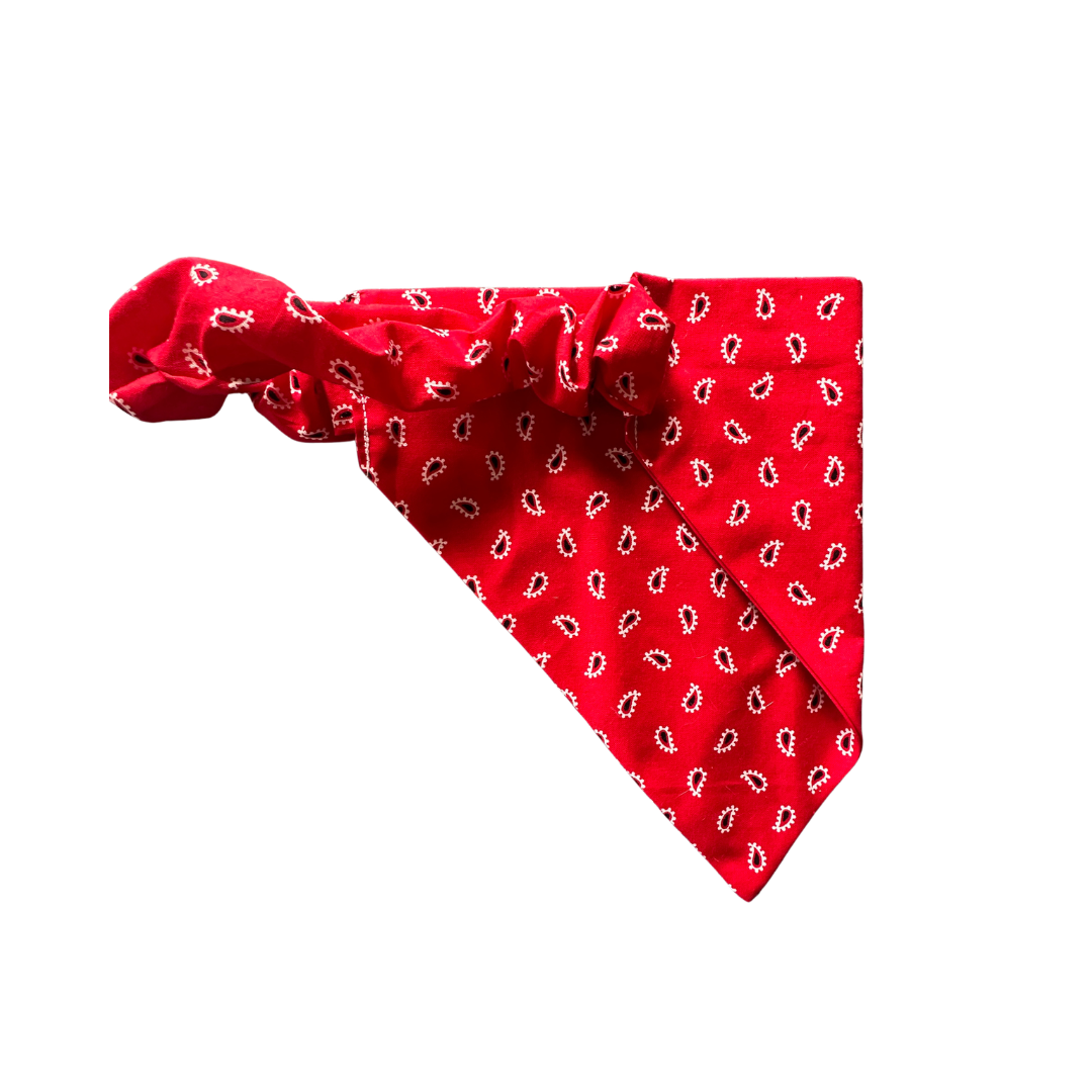 Classic Red Paisley Bandana