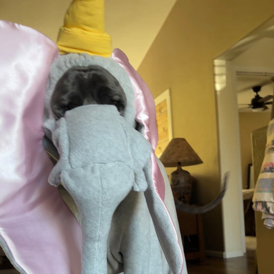 Tatonka's Dumbo Costume