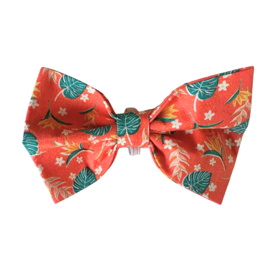 Island Sunset Bowtie