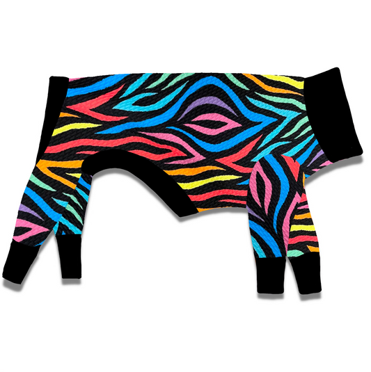 Rainbow Zebra Knit
