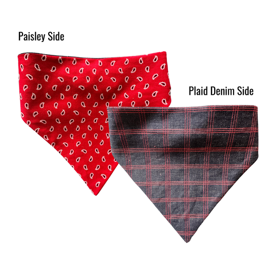 Rebel Picnic Reversible Bandana