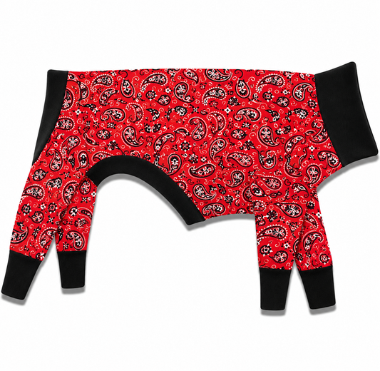 Red Paisley Bandana Knit