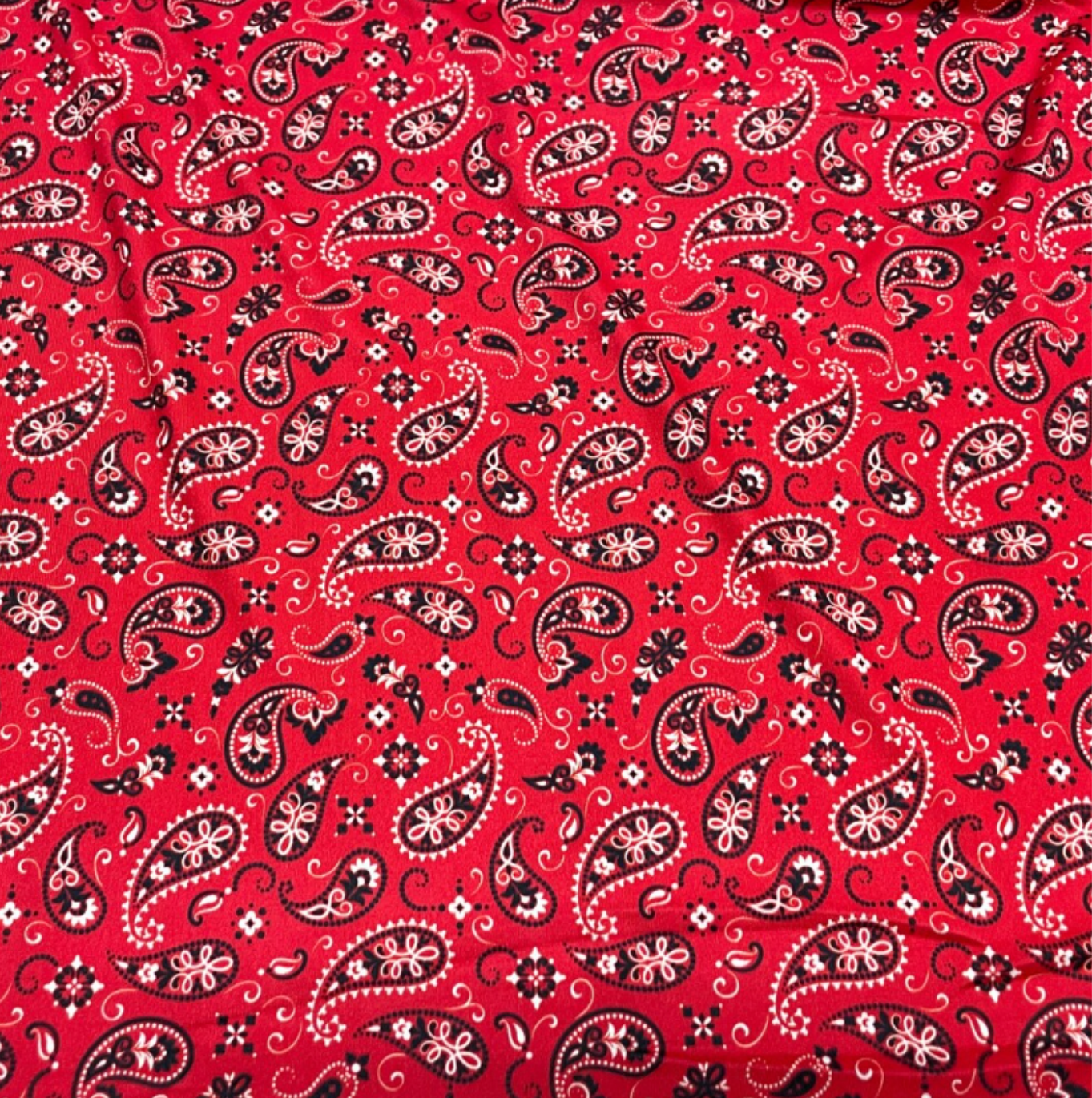 Red Paisley Bandana Knit