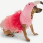 Jenna S's Custom Halloween Costume