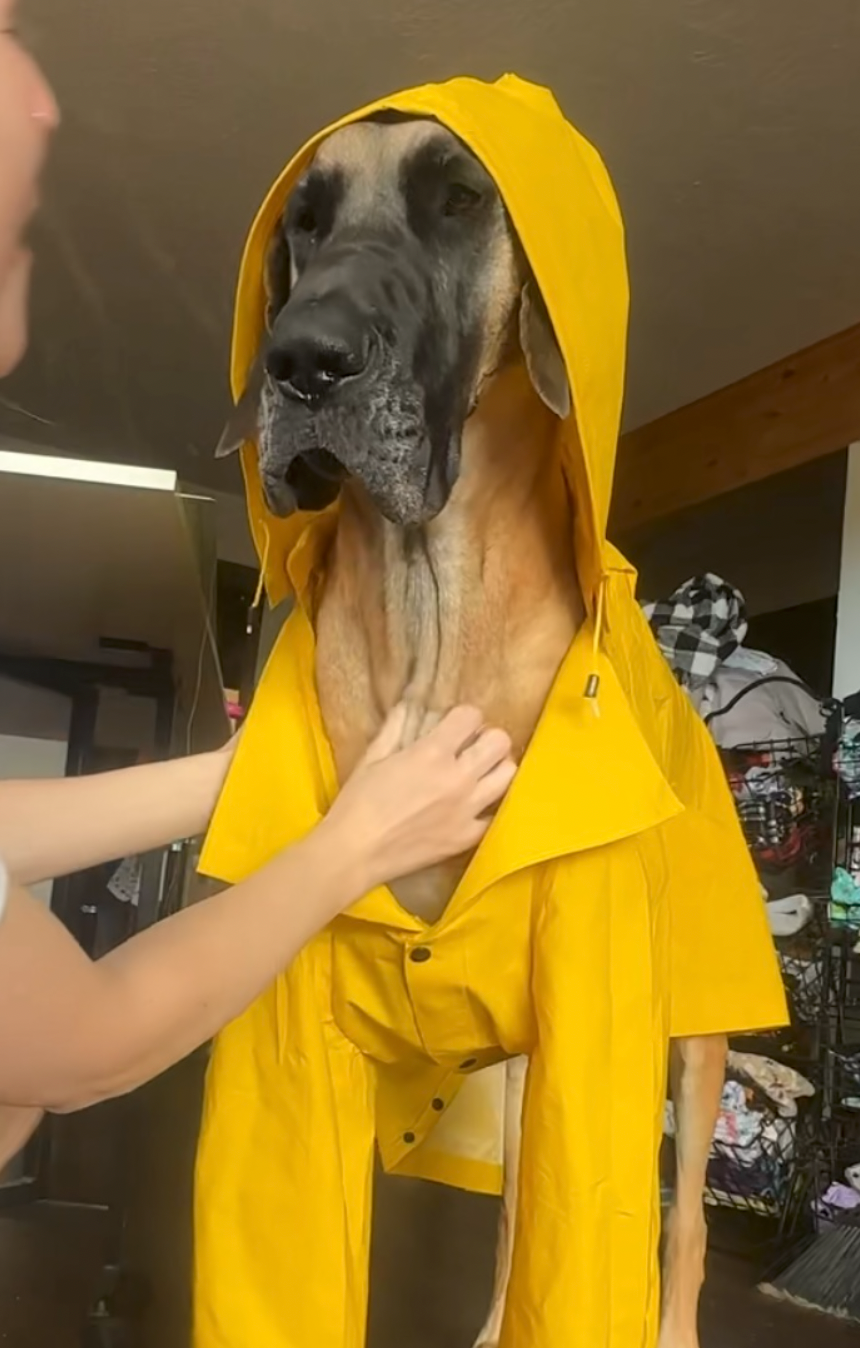 Tatonka's Custom Rain Coat