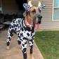 Clyde & Colt's Custom Halloween Costumes