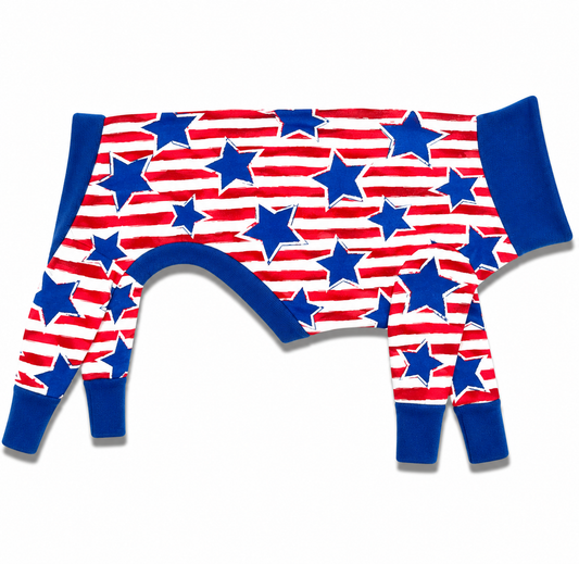 Dog jammies with American flag pattern on a white background