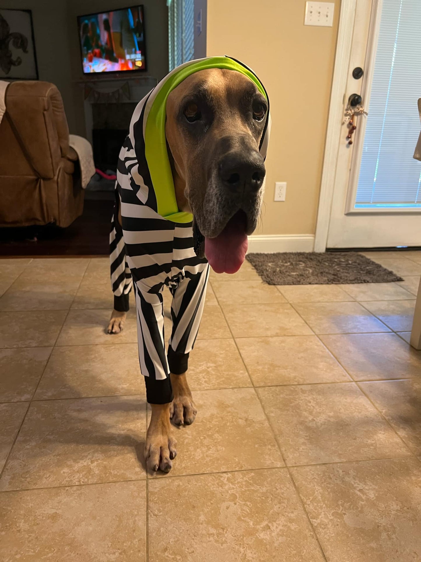 Beetlejuice Costume + Snood! 💚🖤